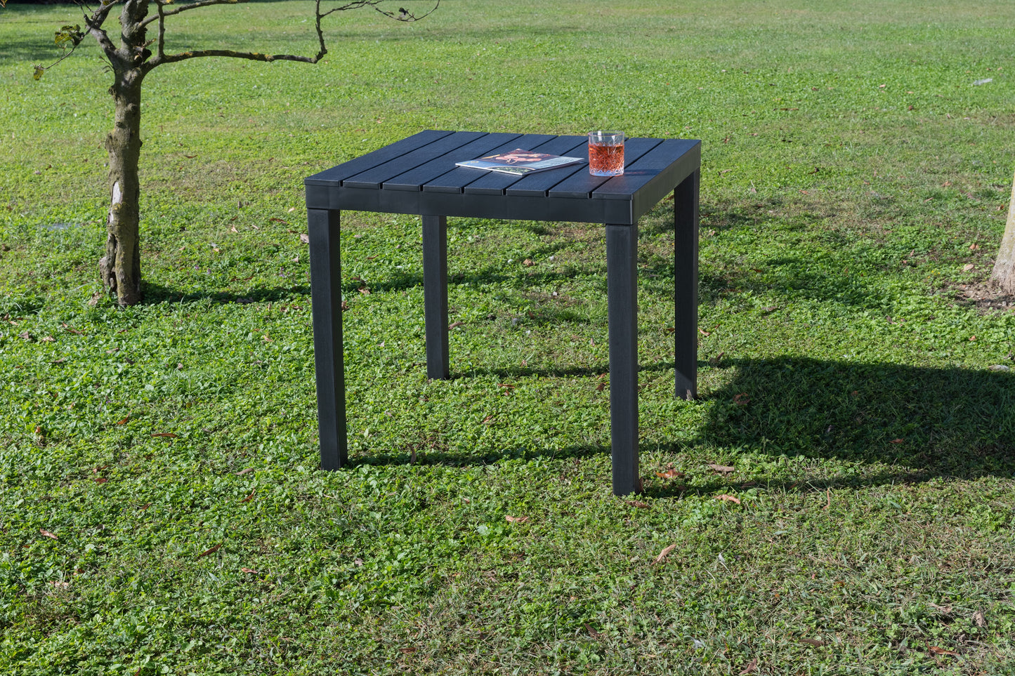 Mesa King