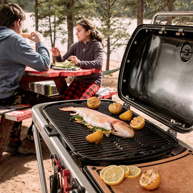 Grelhador a gás Weber Traveler