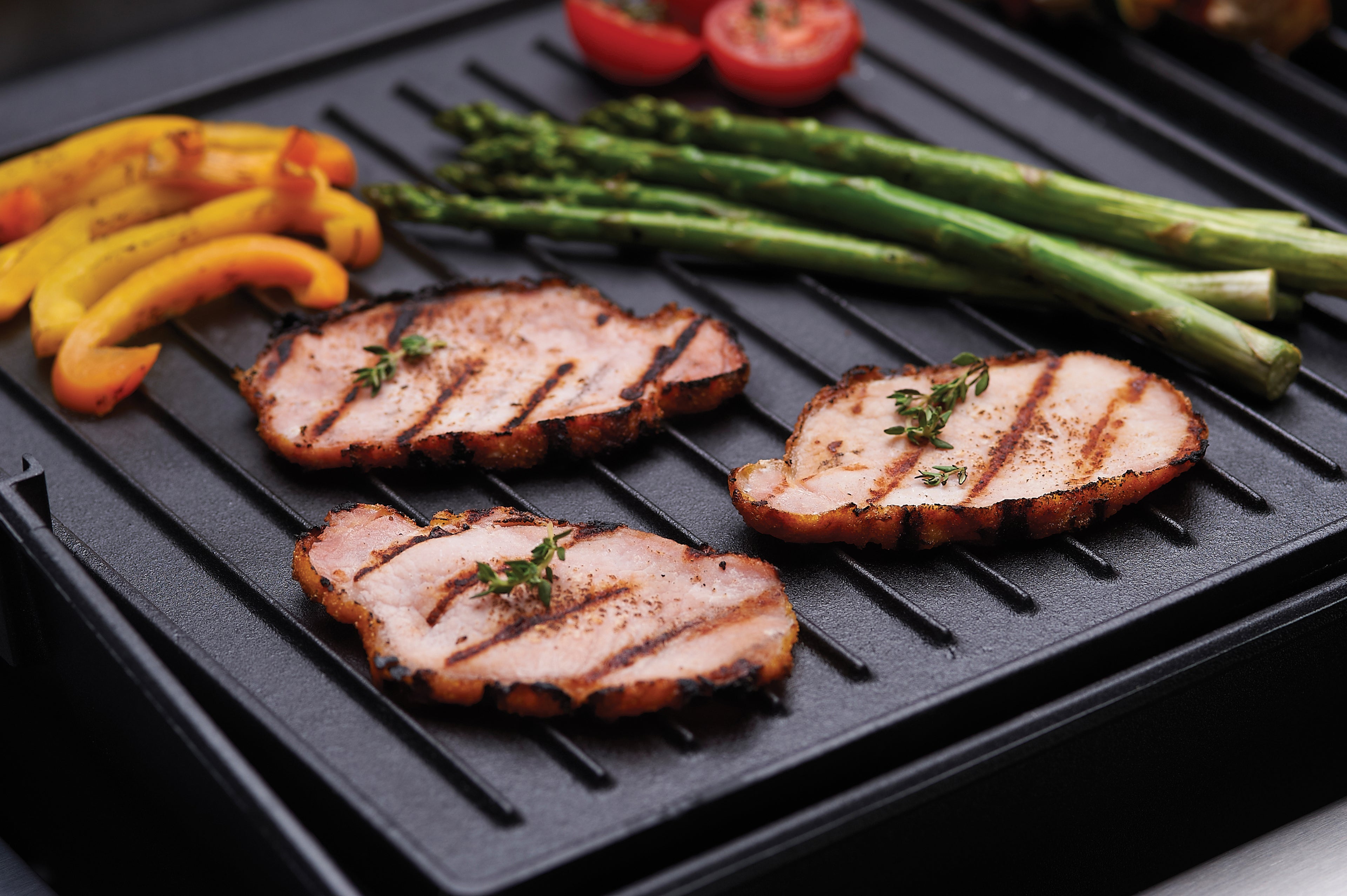 Chapa Brouil King Royal/Monarch